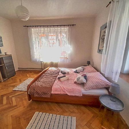 Apartman Isabel Decin Extérieur photo